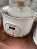 九阳（Joyoung）电炖盅电炖锅隔水炖煮2.5L+0.5L*3多功能锅家用煮粥煲汤锅燕窝炖盅白瓷内胆炖汤锅一锅四胆GD521 实拍图