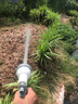 芝浦（zhipu）充电式抽水泵浇菜神器浇水机菜地浇水神器家用浇菜灌溉户外抽水机 【双电四缸】旗舰款10米管 实拍图