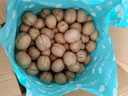 楼兰蜜语【京觅专供】新疆新二薄皮核桃2500g原味核桃纸皮送礼盒坚果零食 实拍图