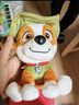汪汪队立大功（PAW PATROL）汪汪队玩具毛绒全套狗狗玩偶公仔男女孩玩具旺旺队新年礼物 经典款-小克公仔 小号-坐高约15.2CM 实拍图