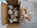 仙果春天    2025年新大蒜 精打细蒜 生鲜 蔬菜 广平特产干蒜头 干大蒜4斤 实拍图