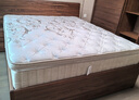 金可儿乳胶床垫七区独立袋弹簧双面偏硬护脊1898Master Collection床垫 1.8米*2米 晒单实拍图