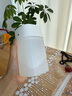 加湿器家用空气加湿器净化器香薰机空调房轻音usb桌面办公室便携孕妇婴儿补水车载空气净化喷雾 单喷大雾-【珍珠白】400ml 实拍图
