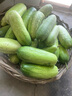 世喜吸管奶嘴（12个月以上可安装重力球）宝宝1-3岁宽口径硅胶直饮 实拍图