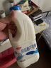 三元 原味大桶风味酸牛奶1.8kg/桶 家庭装酸奶 健康消食 低温奶 实拍图