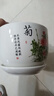 裕轩堂花盆陶瓷家用吊兰蝴蝶兰绿萝带托盘大号个性阳台简约多肉室内套装 梅兰竹菊（四个14厘米） 中等 实拍图