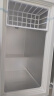 志高（CHIGO）小冰柜家用冷冻小型一级节能省电迷你卧式冷藏保鲜储母乳冷柜 【一级能效 全国联保】 228L 单温单门 实拍图