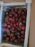 蜜露甘泉 枣花蜂蜜 滋补营养 纯正天然 厂家直发 枣花蜂蜜便携装250g*1瓶 实拍图