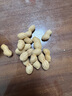 比比赞（BIBIZAN）龙岩花生蒜香味500g/袋 每日坚果炒货带壳干果小吃下酒休闲零食品 实拍图