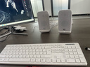 JBLPS3500蓝牙音箱音响 国家补贴 高音质桌面音响电脑台式机音箱 家用室内蓝牙音响低音炮 生日礼物白 实拍图
