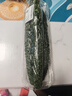 紫溪山嫩黄瓜约550g 实拍图