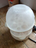 煮蛋器蒸蛋器电蒸锅小型炖蒸煮一体小蒸锅煎蛋锅小型蒸煮鸡蛋神器家用宿舍电煎锅小电器小电锅 双层 【蒸煮神器】两层蒸笼 无量杯 实拍图