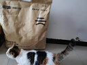 网易严选全价猫粮宠物主粮幼猫成猫全价猫粮 深海鱼虾口味10kg 实拍图