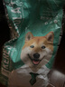 凯锐思 日本柴犬狗粮 专用秋田犬狗粮4斤幼犬成犬专用粮 2kg 实拍图