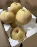 梨子新鲜10斤砀山梨酥梨应季10斤包邮现摘雪梨水果梨脆甜整箱贡梨 9斤大果 实拍图
