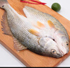 仙泉湖三去斑点尾鲈鱼1斤单条净膛后冷冻肉厚刺少 海鲜水产生鲜食材 实拍图