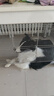 麦富迪狗粮藻趣儿15kg 成犬中大型小型犬通用牛肉螺旋藻 金毛泰迪柯基 实拍图