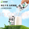 西域春新疆纯牛奶125mlX20盒整箱装礼盒装mini小罐奶浓缩纯牛奶 实拍图