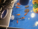 阔庭（KUOTING）鱼缸水族箱生态桌面鱼缸新款懒人鱼缸生态造景过滤制氧一体机蓝色 实拍图