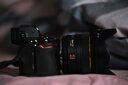 尼康（Nikon）Z6II（Z6 2/Z62）全画幅微单机身 微单机身（约2,450万有效像素 5轴防抖） 实拍图