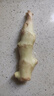 贵州高山小黄姜嫩姜鲜姜醋泡姜红芽姜当季蔬菜先挖非云南黄姜批发 净重2斤 1000g 实拍图