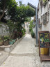 漫生活种菜土营养土50L 进口泥炭土壤蔬菜土椰砖养花土(赠种子肥料地垫) 实拍图