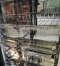 美的（Midea）家用台式小型消毒柜 高温立式二星级94L 大容量四层碗柜餐具碗筷烘干收纳柜【国家补贴】100R05 实拍图
