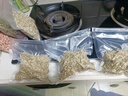 佳帮手真空封口机保鲜袋包装机抽真空袋子加厚网纹塑封袋食物真空保鲜袋20*30cm 实拍图