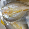 鲜京采醇香黄鱼鲞5条/2.5斤(单条230-255g)三去处理 宁德地标 源头直发 实拍图