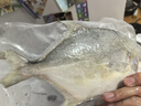 环球水产冷冻南海金鲳鱼2斤/2条 生鲜鱼类 火锅 深海鱼 海鲜水产 家庭聚餐 实拍图