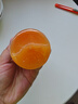 椰瀑【12款任选】风味饮料果汁饮品聚餐烧烤果蔬汁饮料大瓶特价 沙棘汁风味饮料1瓶 实拍图