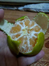 粤迎云南蜜桔酸甜口感特早熟桔子青皮蜜橘新鲜水果当季整箱青皮柑子 净4.5-5斤精选果【单果50mm+】 实拍图