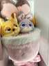 迪士尼（Disney）疯狂动物城朱迪尼克玩偶花束情侣告白毛绒玩具女孩生日礼物送女友 实拍图