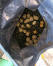 耐吉斯鲜肉Pro夹心冻干狗粮1.5kg*4包成犬幼犬益生菌鸭肉梨泪痕管理 实拍图