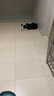 皇家皇家狗粮 成犬狗粮 犬粮 通用犬型 CC 通用粮 ≥12月 8KG 实拍图