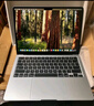 Apple/苹果【国家补贴】AI笔记本/2025款MacBook Air13英寸M4 (10+8核) 16G 256G星光色电脑MW0Y3CH/A 实拍图