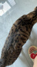愛肯拿（ACANA）猫粮 牧场盛宴成猫幼猫粮 高蛋白无谷进口鸡肉粮1.8kg效期26/4 实拍图