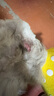 普安特猫藓狗癣皮肤病喷剂喷雾宠物脓皮溃疡感染皮炎湿疹瘙痒外用药 实拍图