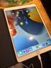 Apple苹果iPad mini5/6 iPadair3/4 2021款iPadPro二手平板电脑 iPad Air3  256G WIFI版 95成新 实拍图