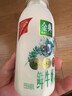 伊利金典3.8g乳蛋白 鲜活纯牛奶整箱 250ml*8瓶 30天常温短保 礼盒装 实拍图