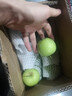 橙市码头陕西头茬青苹果 酸甜 小青苹果 新鲜酸脆孕妇低糖酸水果礼盒送礼 3斤装青苹果【品质精选 净重2.5斤】 实拍图