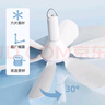 志高（CHIGO）小吊扇 小型电风扇 小风扇家用学生宿舍床上大风力6页蚊帐扇悬挂式微风吊扇便携小电扇 标配款+2米定时线+蚊帐横杆 实拍图