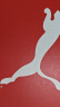 彪马（PUMA）【厚底鞋】复古增高松糕鞋女运动休闲鞋 PLATFORM 363287 卵石花纹-14 37.5 实拍图