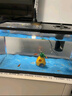 阔庭（KUOTING）鱼缸水族箱生态桌面鱼缸新款懒人鱼缸过滤制氧一体黑色【特大号】 实拍图