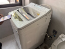 松下（Panasonic）波轮洗衣机全自动11公斤大容量带烘干洗烘一体 纳诺怡除菌除螨 以旧换新家电国家补贴20% FW120 实拍图