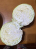 新鲜甘蓝包菜卷心菜新鲜嫩绿莲花白现摘现发到京东来买菜 新鲜包菜 1斤 人工挑拣 实拍图