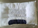 雅鹿枕头枕芯一对决明子薰衣草颈椎枕成人睡觉专用单人荞麦枕芯花草枕 立体决明子磁疗枕【单只装】 实拍图