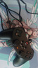 北通蝙蝠BD2E有线游戏手柄无感延迟非对称震动一键连发PC电脑steam电视即插即玩原神双人成行 实拍图