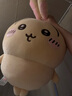 MINISO名创优品chiikawa站姿公仔毛绒玩偶玩具迷你娃娃礼物送女朋友正版 大号站姿公仔 (Usagi) 见详情 实拍图