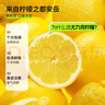 虎标中国香港品牌 花草茶 冻干柠檬片 冷泡水果茶泡水泡茶喝的70g罐装 实拍图